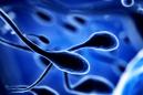 A man’s weight can affect his sperm’s genetic makeup